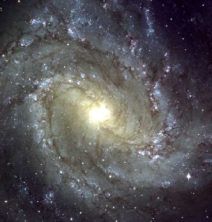 The Galaxy
